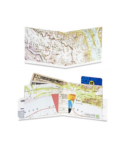Mighty Wallet Explorer